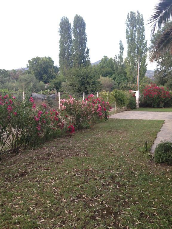Villa Niki نيوس مارماراس المظهر الخارجي الصورة